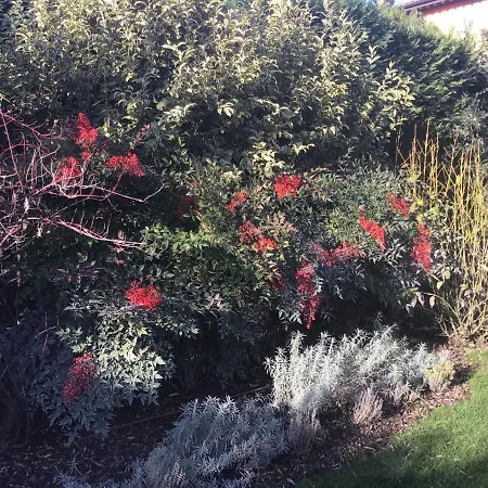 Matildis Nocleg ze śniadaniem