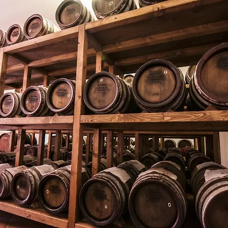 Matildis Nocleg ze śniadaniem 4*