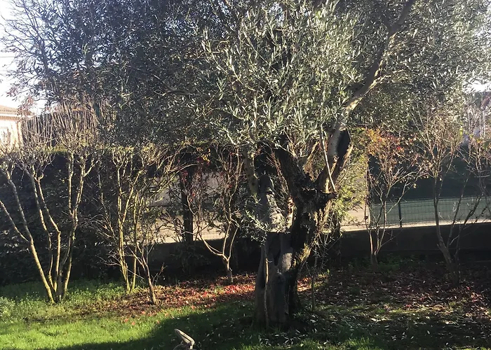 Bed & Breakfast Matildis Modena